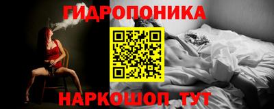 ECSTASY Гусев