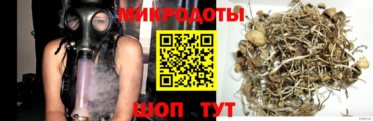 Мариинск  где найти наркотики  Вход с VPN  Псилоцибиновые грибы Psilocybe  Галлюциногенные грибы Magic Shrooms 